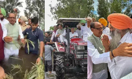 पंजाब में बाढ़ से तबाही: खेतों पर पहुंचे शिवराज सिंह चौहान