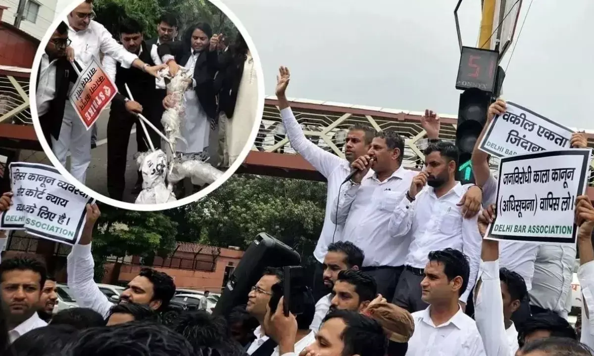 Delhi Lawyers Strike Delhi Lawyers Strike
