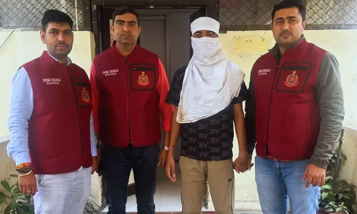 Stock Market Scam Stock Market Scam