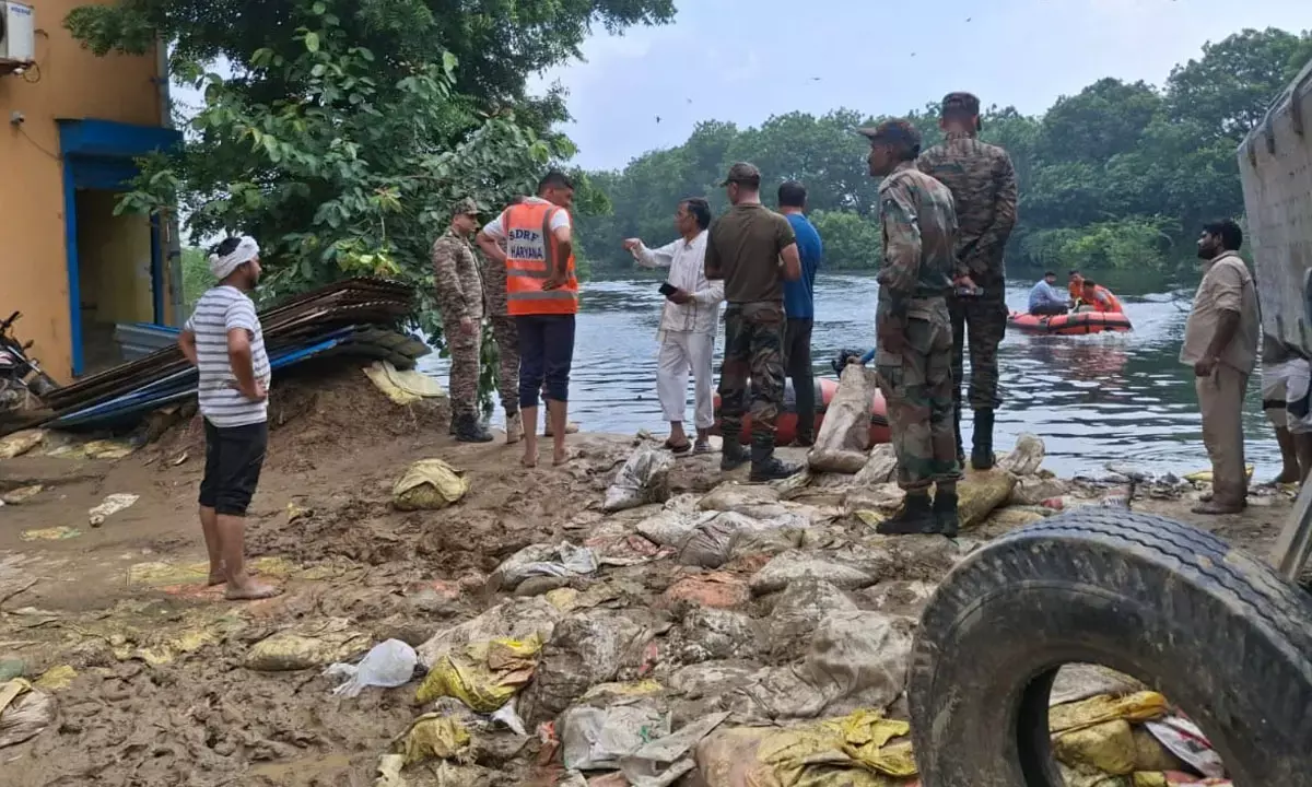 haryana flood update news