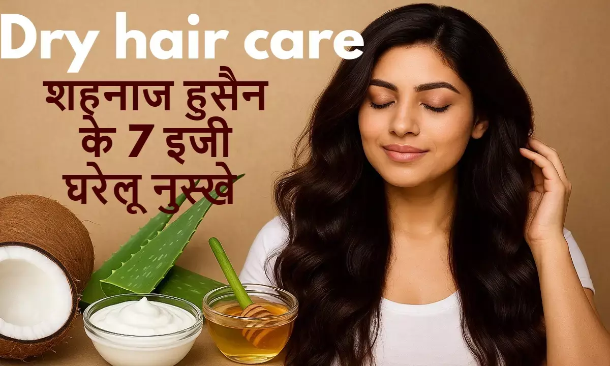 कॉस्मेटोलॉजिस्ट शहनाज हुसैन के घरेलू नुस्खों से जानें ड्राय बालों की देखभाल के आसान और प्रभावी तरीके।