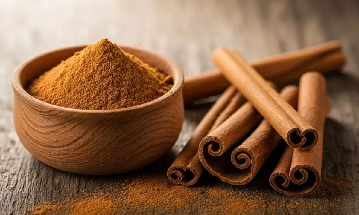 dalchini ke fayde cinnamon health benefits