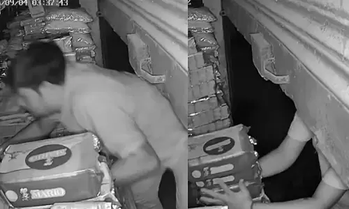 चोरी करते हुए चोर