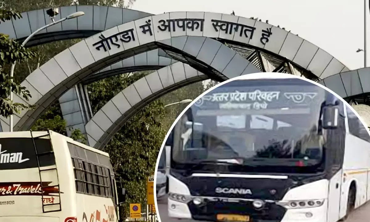 Noida Special Buses
