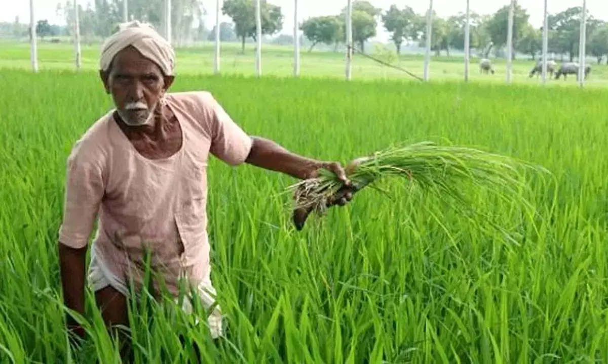 per drop more crop yojana