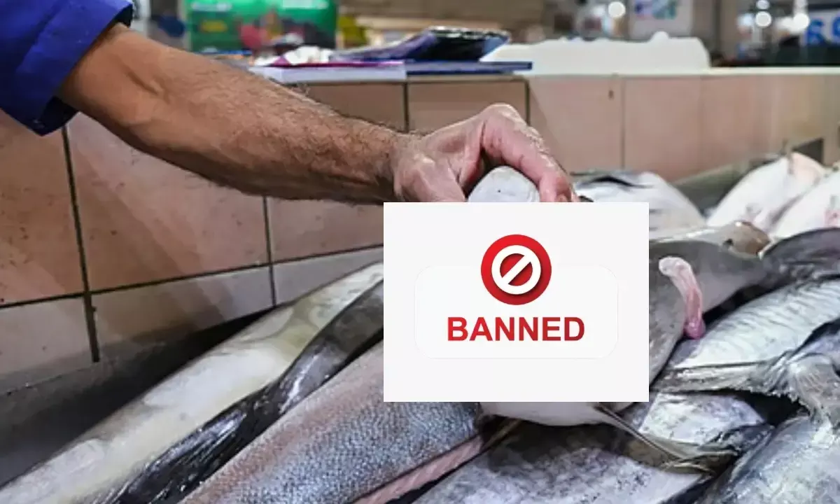 Bhopal Meat Fish Ban