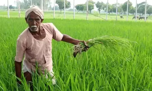 per drop more crop yojana