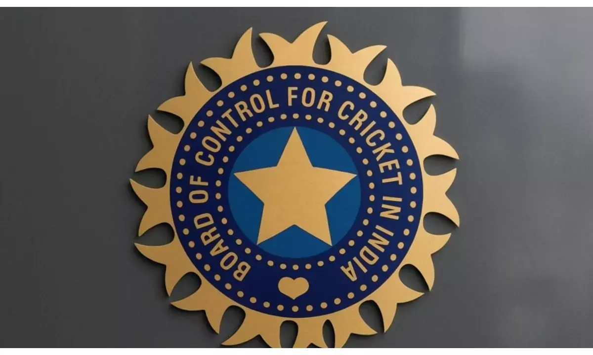 bcci income report