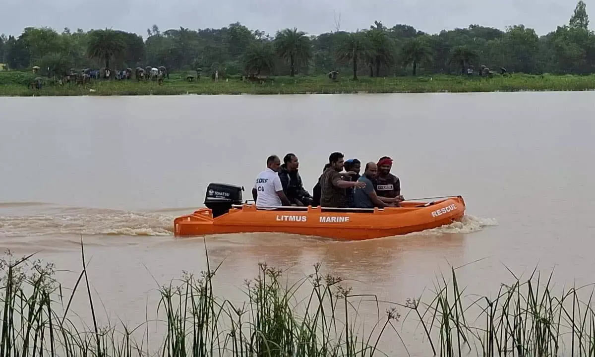 वनकर्मियों को खूब छका रहा मगरमच्छ : मछली पालने वाले तालाब में घुसा है, पिंजरा लगाने के नौ दिन बाद भी नहीं पकड़ा जा सका वनकर्मियों को खूब छका रहा मगरमच्छ : मछली पालने वाले तालाब में घुसा है, पिंजरा लगाने के नौ दिन बाद भी नहीं पकड़ा जा सका