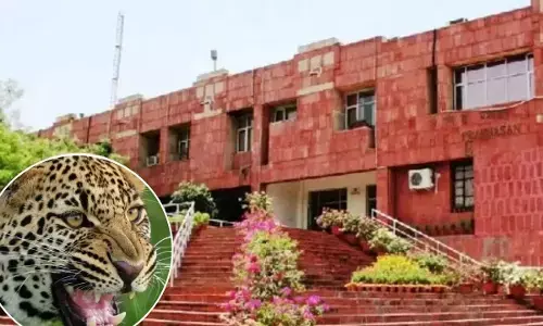 Leopard Spotted in JNU