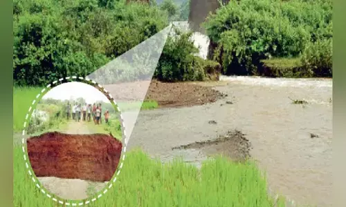 लुत्ती के बाद टूटा गेरसा का बांध : अहिराज सांप के बिल से शुरू हुआ था रिसाव लुत्ती के बाद टूटा गेरसा का बांध : अहिराज सांप के बिल से शुरू हुआ था रिसाव