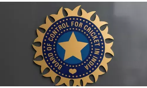 bcci income report