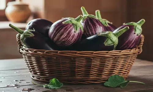 brinjal side effects