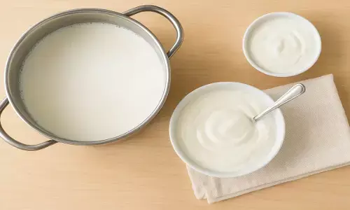 curd making tips