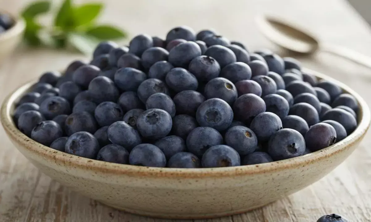 Blueberry health Benefits
