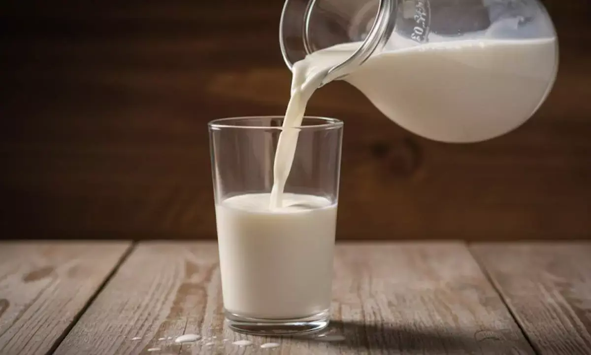 milk purity test in hindi