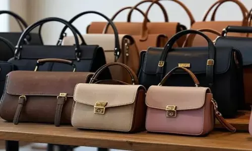 डिजाइनर बैग्स