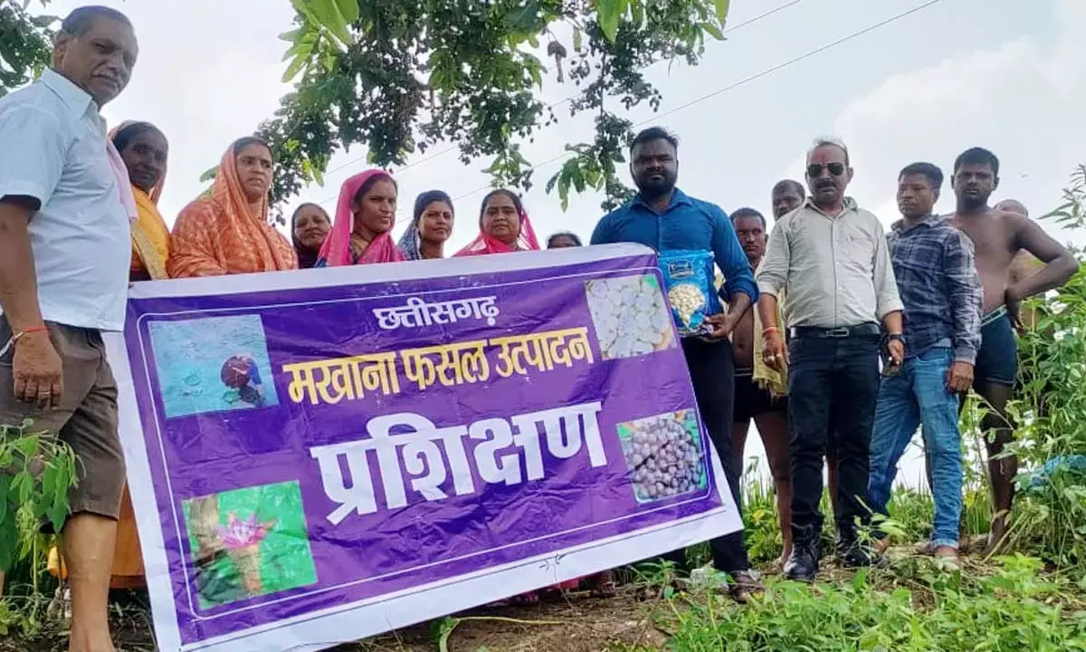 महिलाओं ने सीखी मखाना खेती की तकनीक