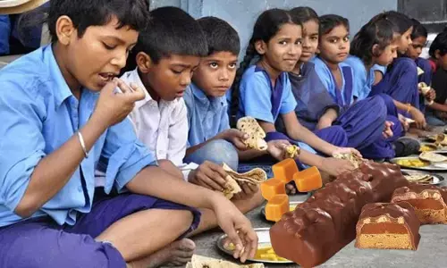 mid day meal protein milk bar