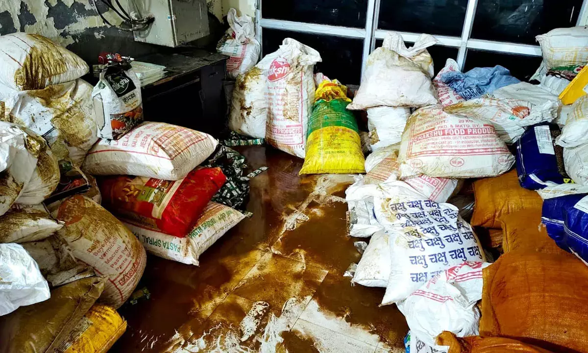 fatehabad flood loss compensation fatehabad flood loss compensation