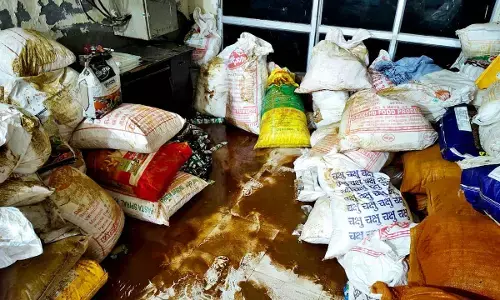 fatehabad flood loss compensation