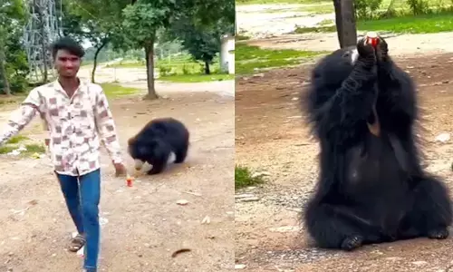 अपने साथ जानवर की जान से भी खिलवाड़, देखिए VIDEO