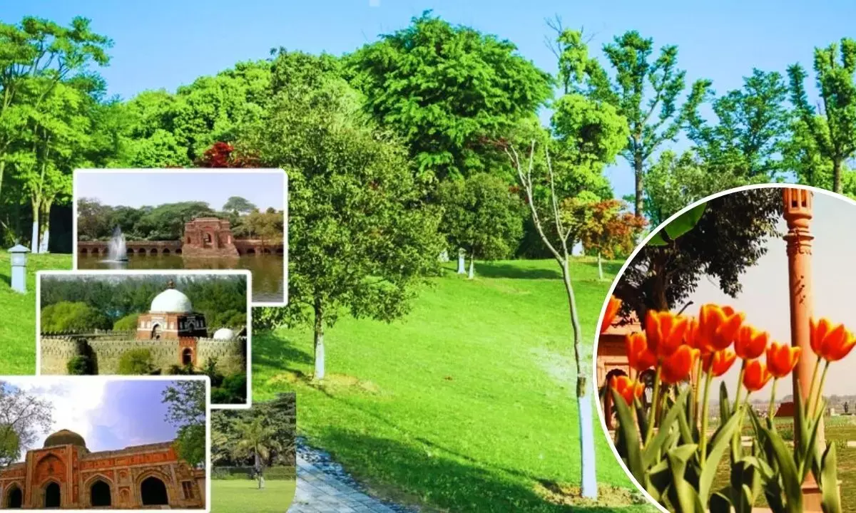 Delhi best morning walk park