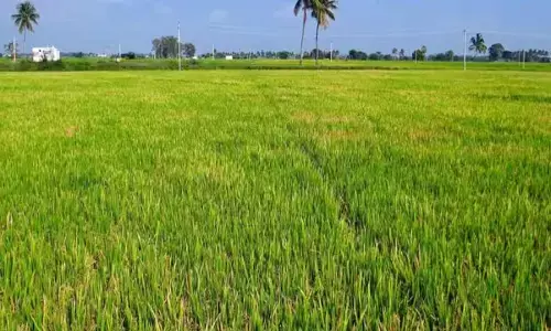 मुख्यमंत्री की फटकार के बाद हरकत में सिस्टम : लाल फीताशाही में कैद जल योजना, 44 साल से अधूरी, अब थोड़ी हलचल