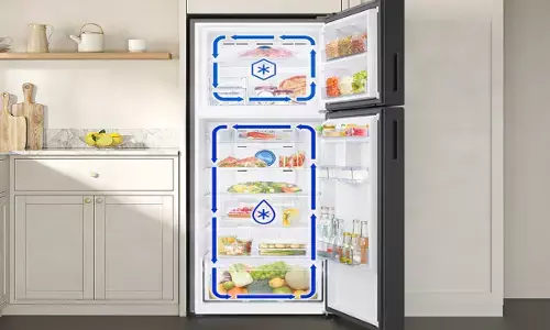 Single Door Refrigerator