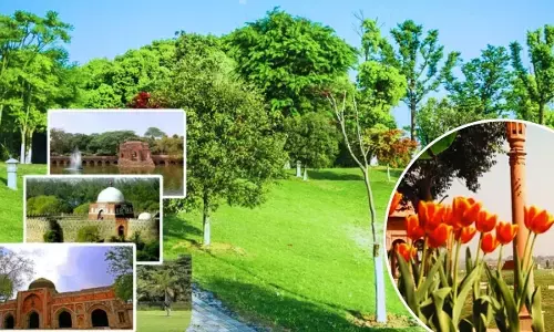 Delhi best morning walk park