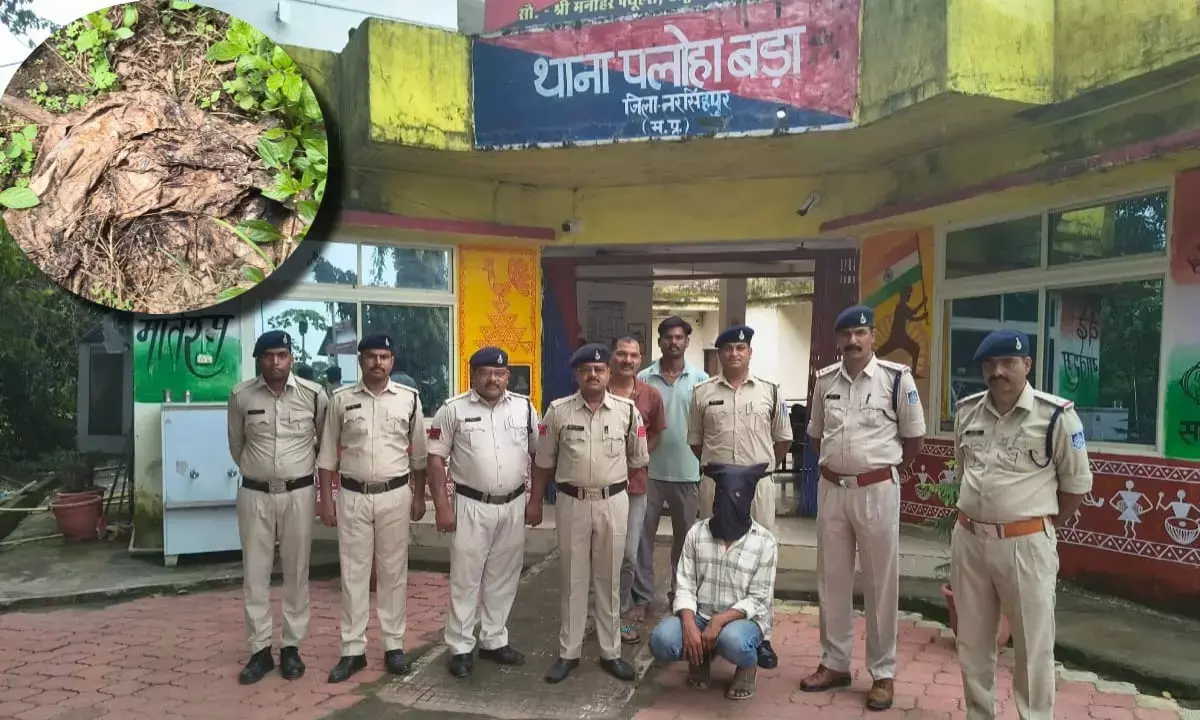 नरसिंहपुर से सनसनीखेज वारदात: गला दबाकर पत्नी की हत्या, जंगल में फेंका शव