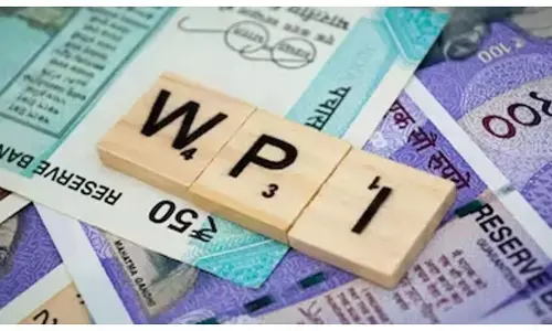 WPI Inflation data august