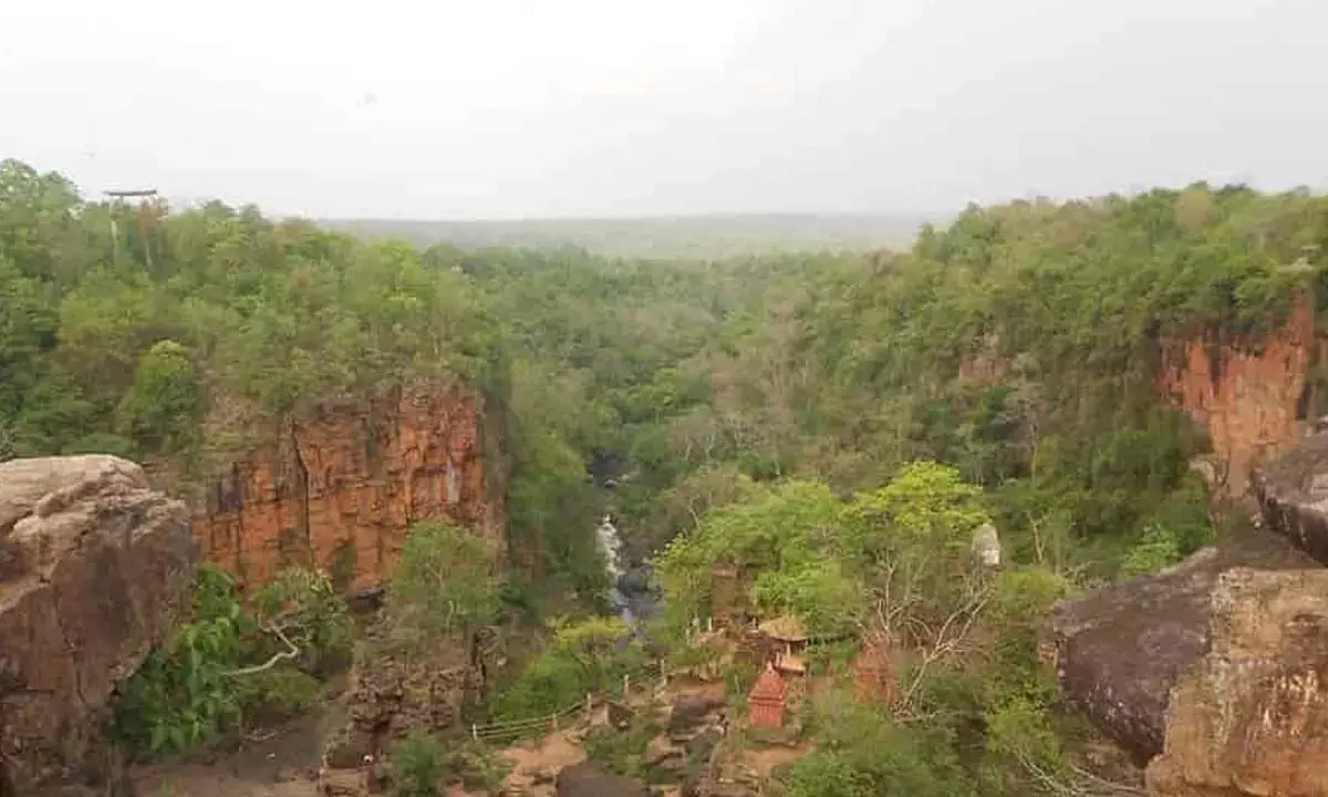 कांकेर में युवक को उठा ले गया तेंदुआ : गढ़िया पहाड़ में खोजबीन कर रहा वन अमला