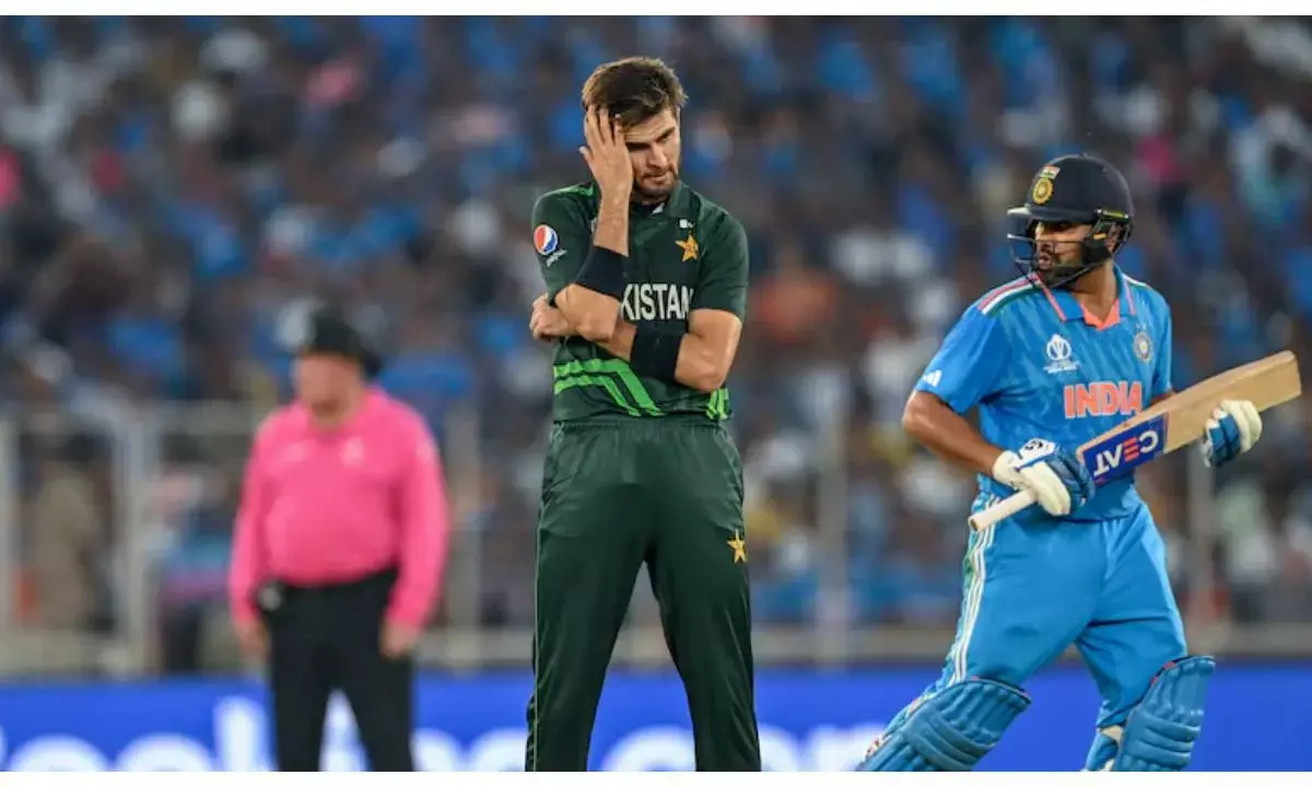 shahid afridi on shaheen afridi