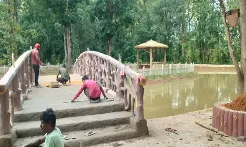 35 एकड़ भूमि पर बन रहा जंगल लॉन : पर्यटक सुबह- शाम ले सकेंगे पक्षियों, तितलियों के बीच आनंद