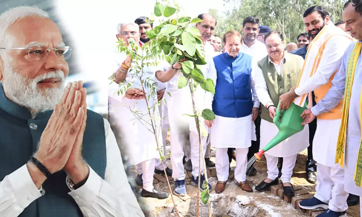 pm modi birthday namo forest