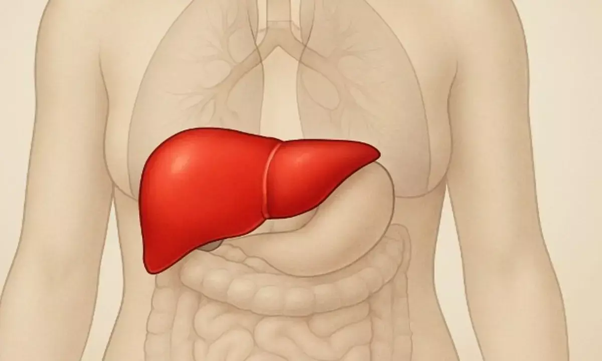 लिवर को स्वस्थ्य कैसे रखें