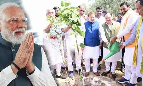 pm modi birthday namo forest