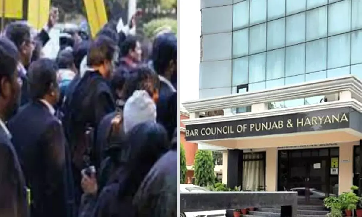 Haryana News Hindi Haryana News Hindi