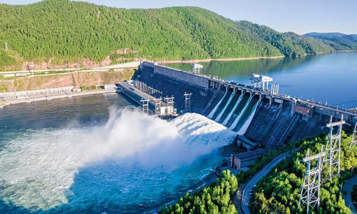 Hathnikund Barrage Dead Bodies