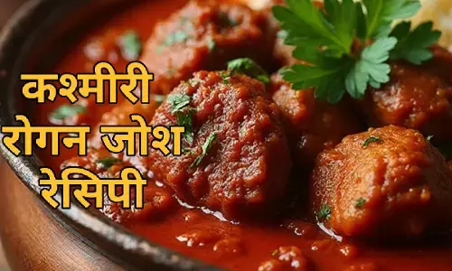 कश्मीरी रोगन जोश – दही और मसालों से बनी पारंपरिक मटन करी।