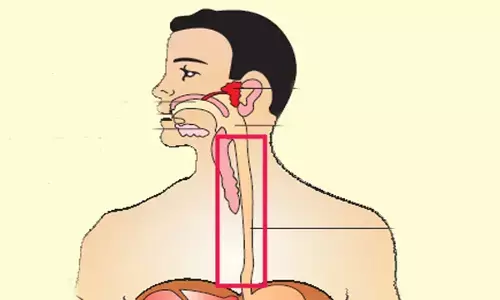 आहार नली आहार नली