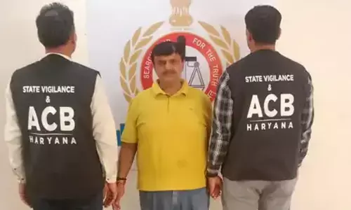 bribrey gst inspector gurugram