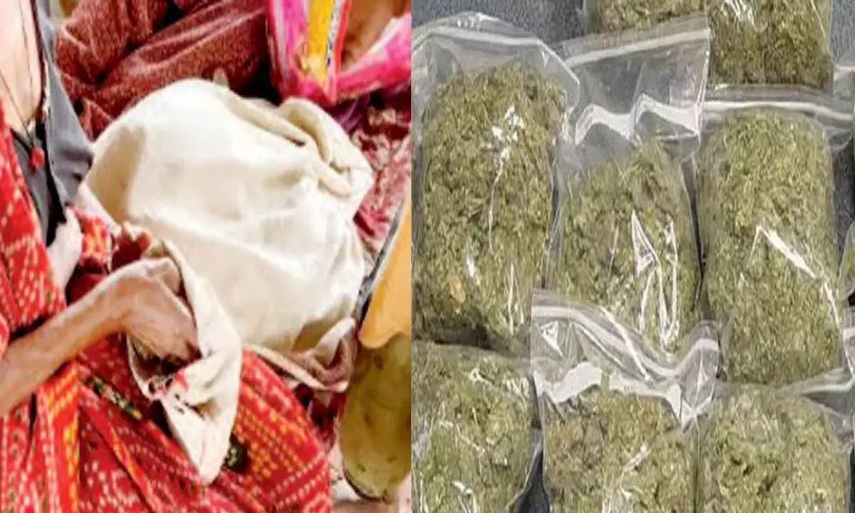 गांजा के धंधे में अब घुमंतू महिलाएं भी : टिटलागढ़ का नशा सिर चढ़कर बोल रहा गांजा के धंधे में अब घुमंतू महिलाएं भी : टिटलागढ़ का नशा सिर चढ़कर बोल रहा