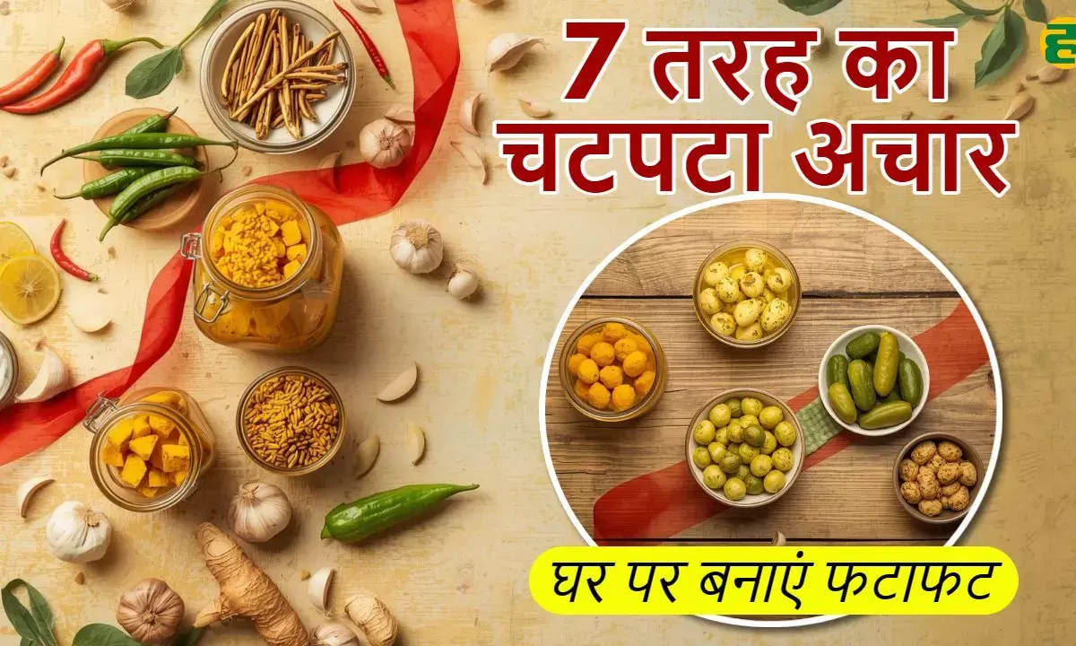 Top 7 Types Quick and Spicy Indian Pickle Recipes in hindi