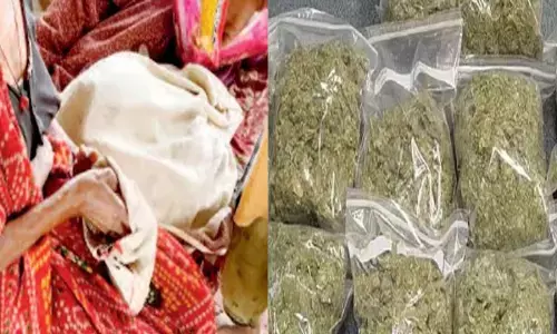 गांजा के धंधे में अब घुमंतू महिलाएं भी : टिटलागढ़ का नशा सिर चढ़कर बोल रहा