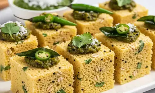 oats dhokla recipe in hindi