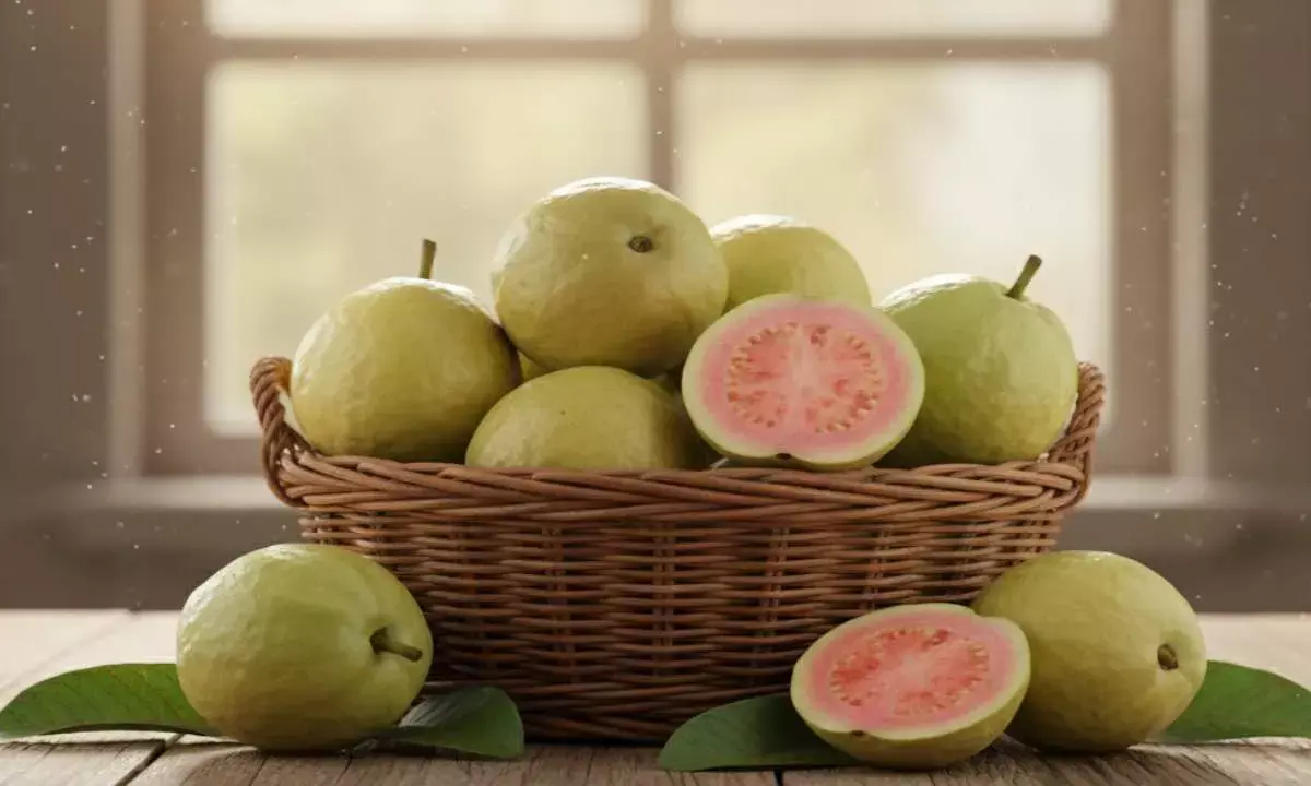 guava health benefits