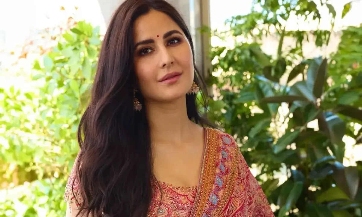 कैटरीना कैफ का दिखा बेबी बंप, प्रेग्नेंसी की खबरों के बीच वायरल हो रही तस्वीर