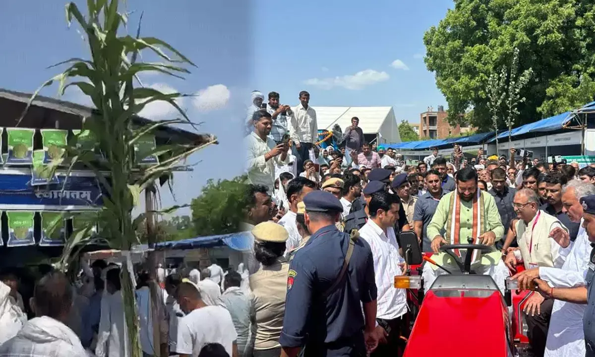 agriculture festival hisar